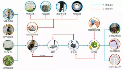 農業(yè)物聯網是什么 有哪些用于農業(yè)生產的