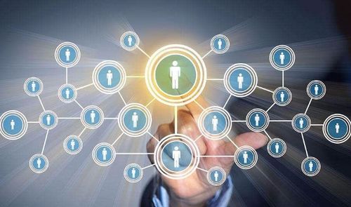 互聯(lián)網(wǎng)技術(shù)與開(kāi)放經(jīng)濟(jì)體制 雙輪驅(qū)動(dòng)下的創(chuàng)業(yè)新選擇